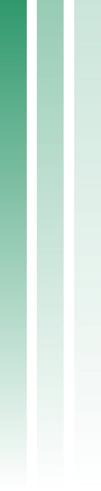 lines